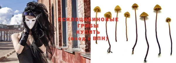 экстази Алексин