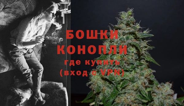 Альфа ПВП Костерёво