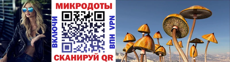 Галлюциногенные грибы Magic Shrooms Шуя