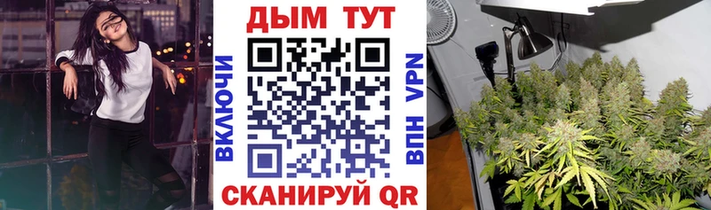 Конопля MAZAR  купить наркотик  Шуя 